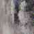 Stochastic Neighbors - Image 15